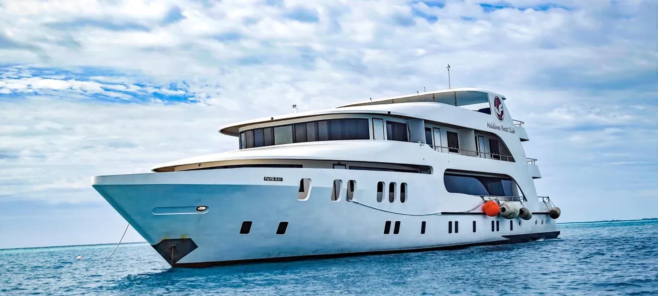 Adora - image Adora - image