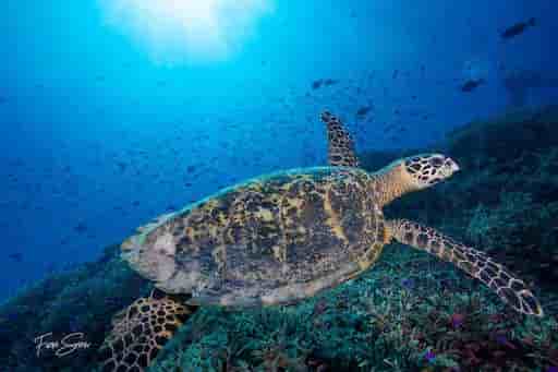 Thumbnail 9 Thumbnail 9