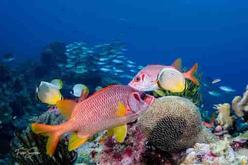 Thumbnail 12 Thumbnail 12