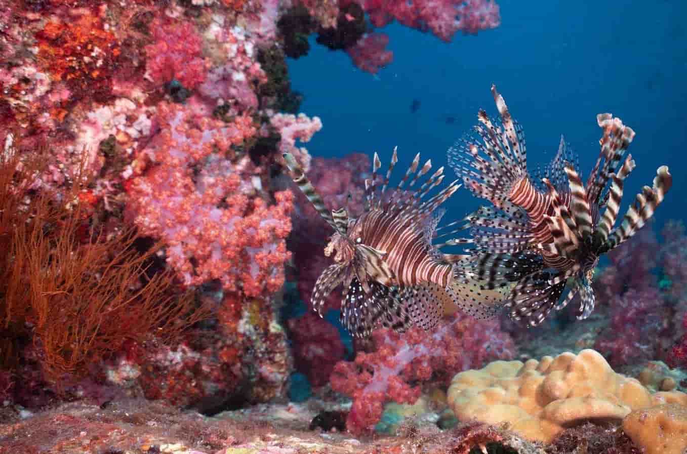 Thumbnail 1 Thumbnail 1