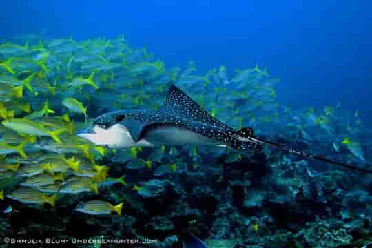 Thumbnail 6 Thumbnail 6