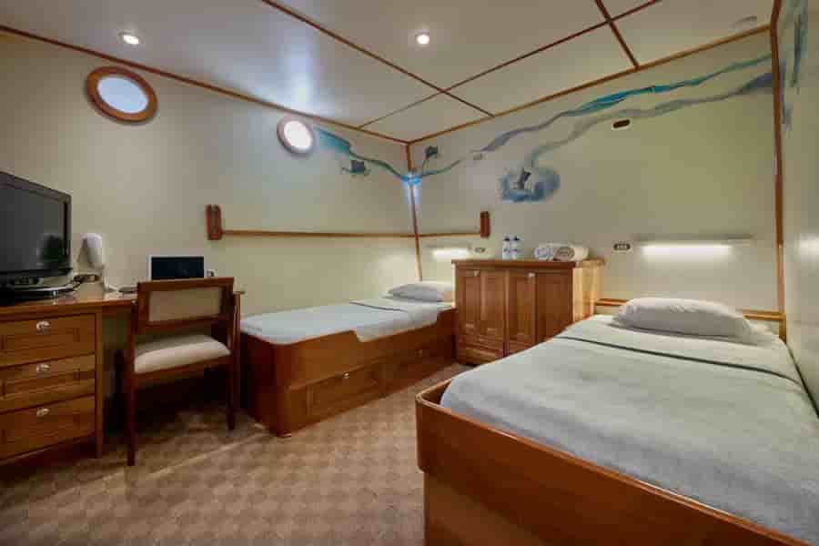 Thumbnail 11 Thumbnail 11