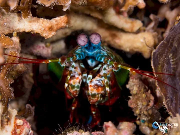 No alternative text provided No alternative text provided