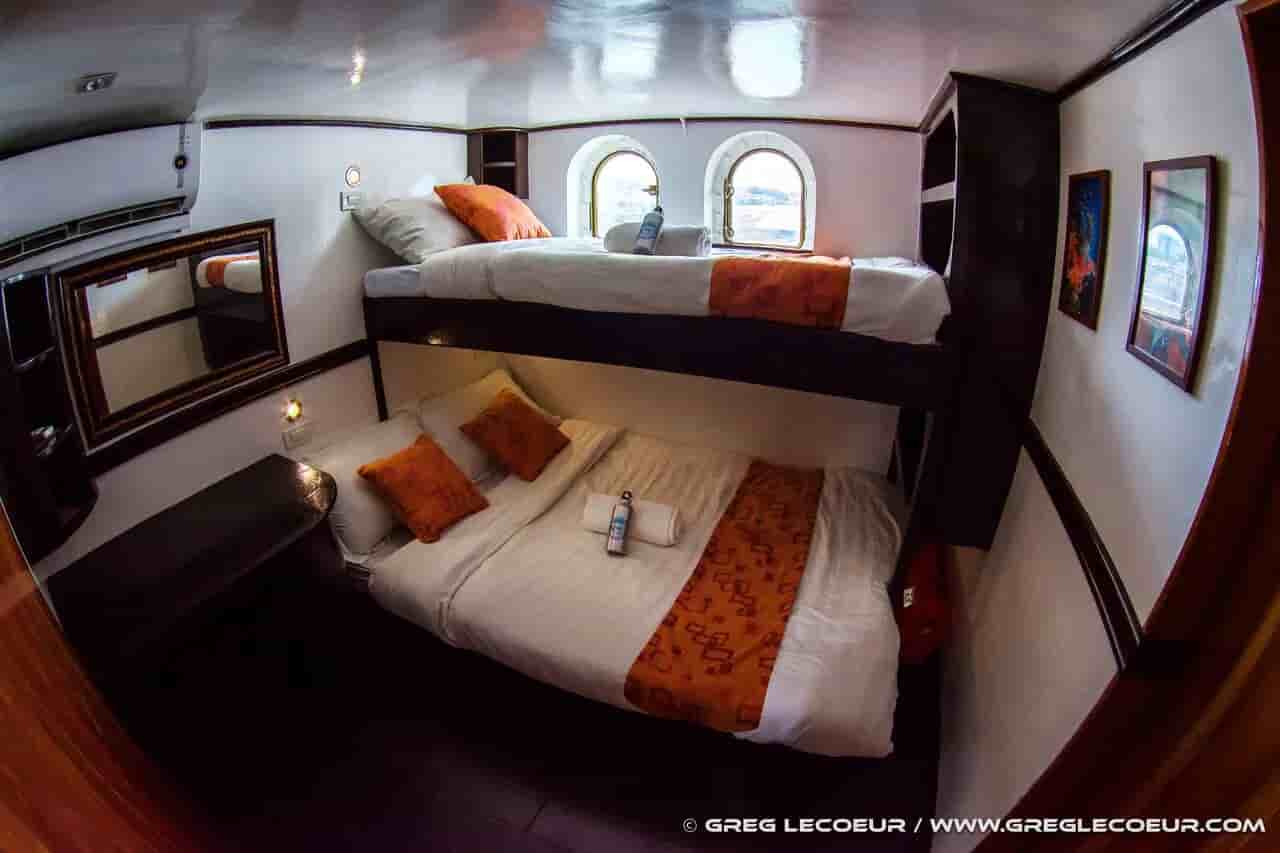 Thumbnail 16 Thumbnail 16