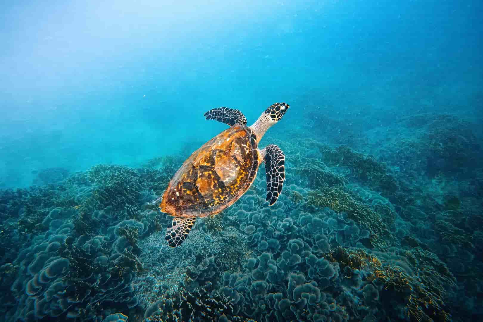 Thumbnail 9 Thumbnail 9