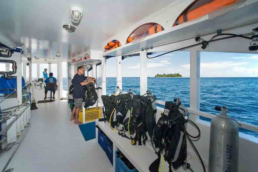 Thumbnail 7 Thumbnail 7