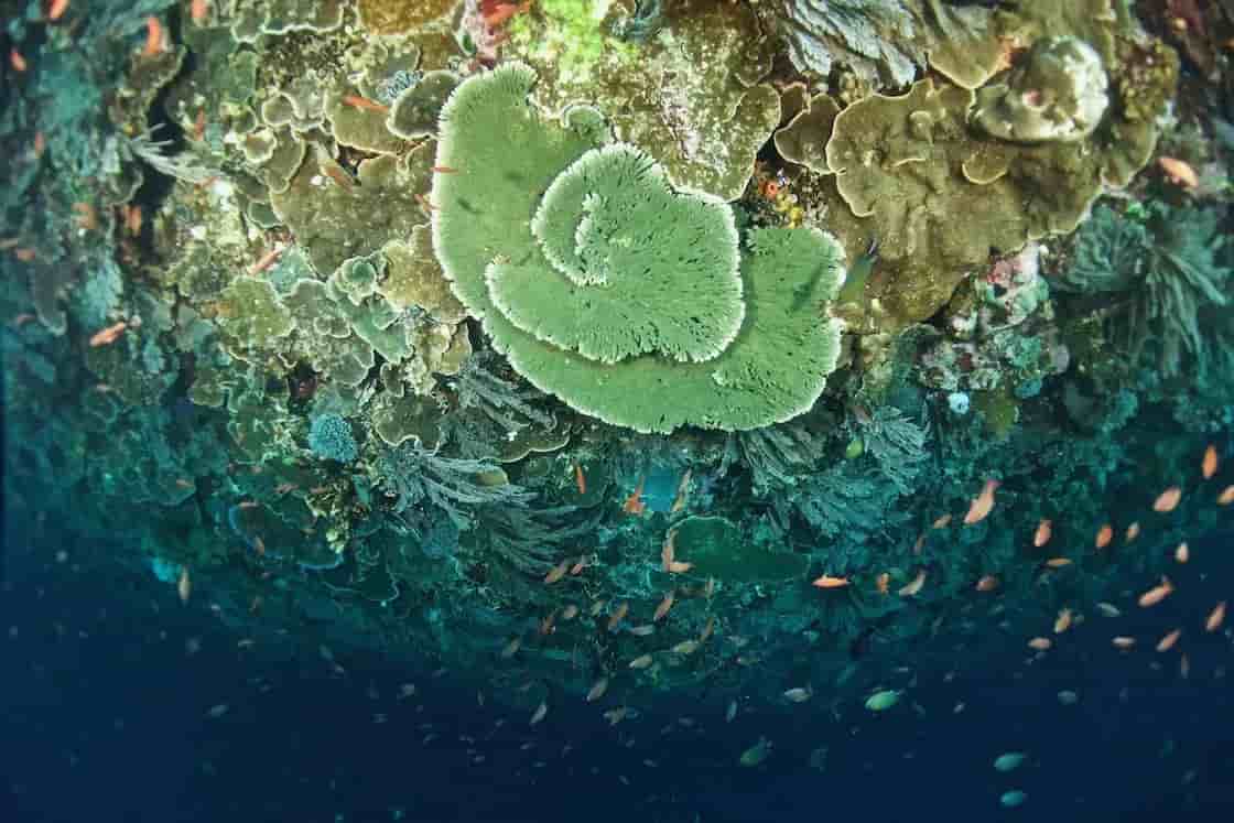 Thumbnail 13 Thumbnail 13