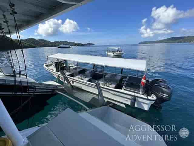 Thumbnail 10 Thumbnail 10