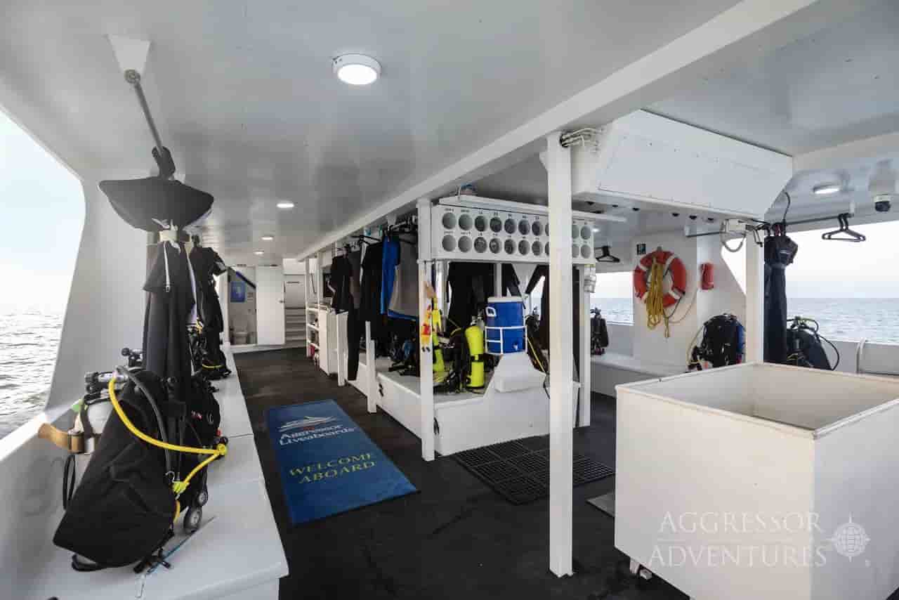 Thumbnail 7 Thumbnail 7