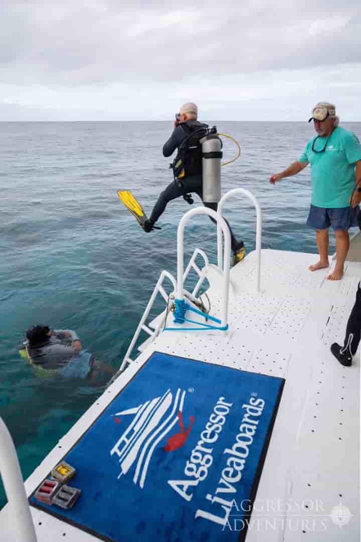 Thumbnail 9 Thumbnail 9