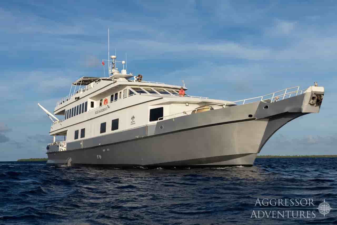 Thumbnail 1 Thumbnail 1