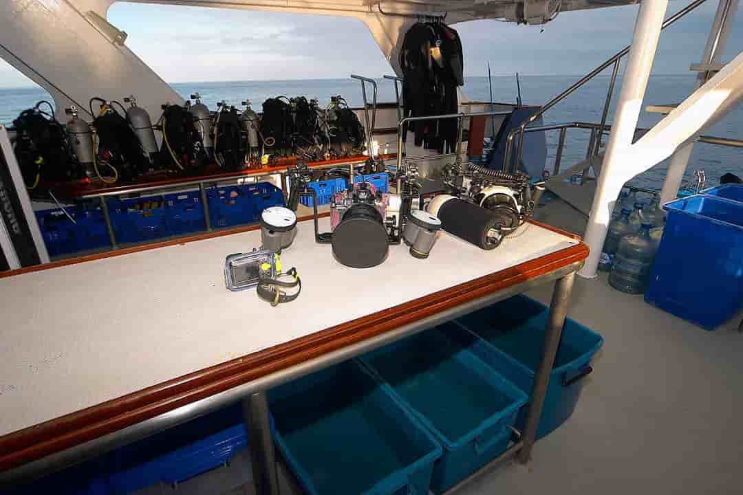 Thumbnail 13 Thumbnail 13