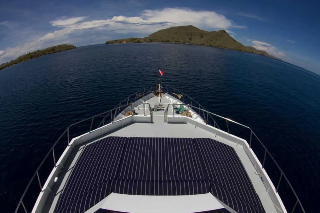 The bow of Mermaid II The bow of Mermaid II