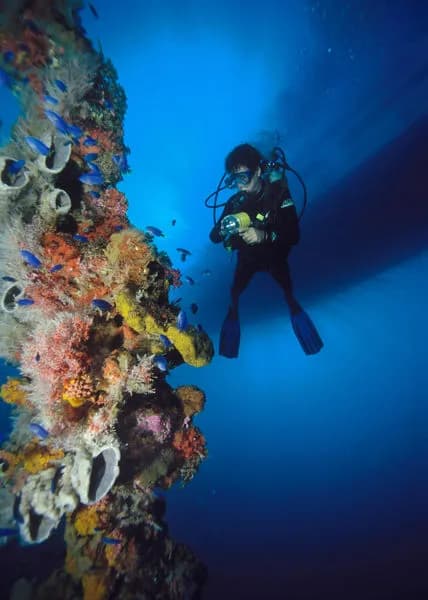 Odyssey Adventures liveaboard in Truk Lagoon, Micronesia