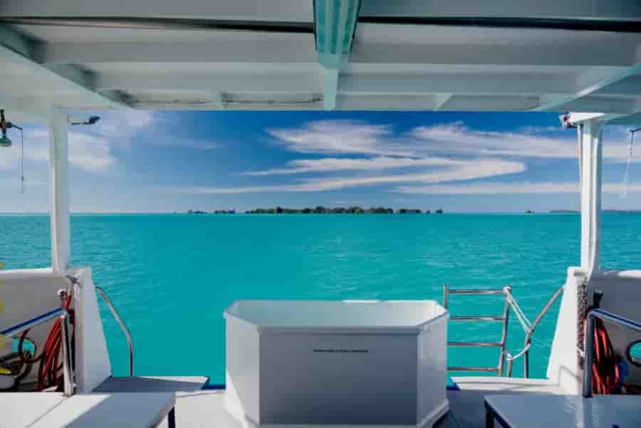 Thumbnail 9 Thumbnail 9