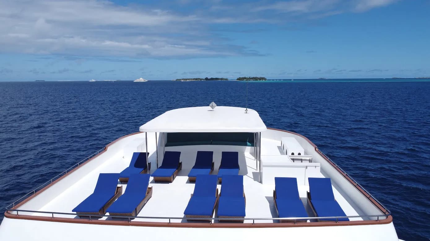 Sundeck with multiple blue lounge chairs