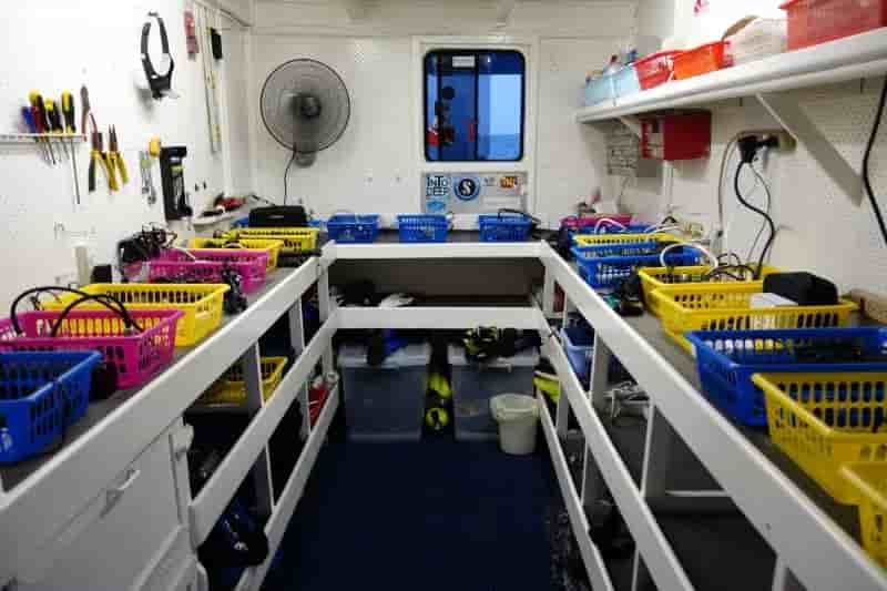 Thumbnail 10 Thumbnail 10