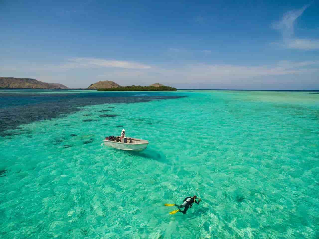 Thumbnail 9 Thumbnail 9