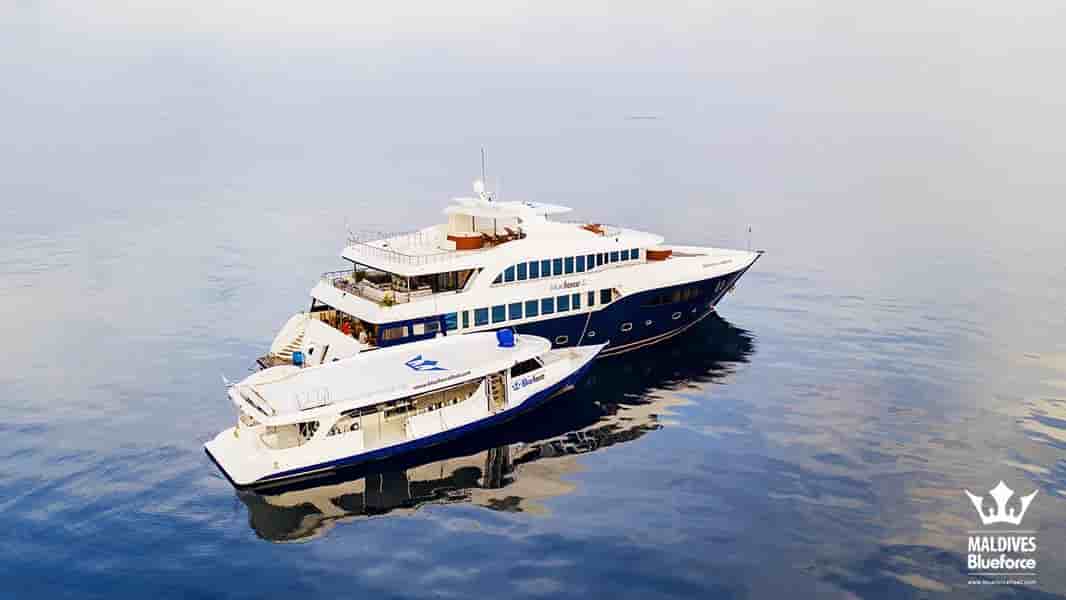 Thumbnail 1 Thumbnail 1