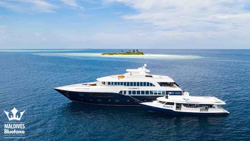 Thumbnail 7 Thumbnail 7