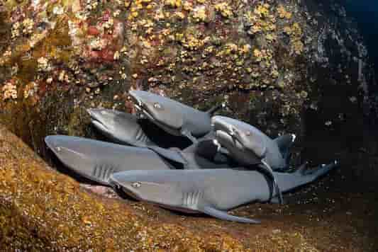 Thumbnail 3 Thumbnail 3