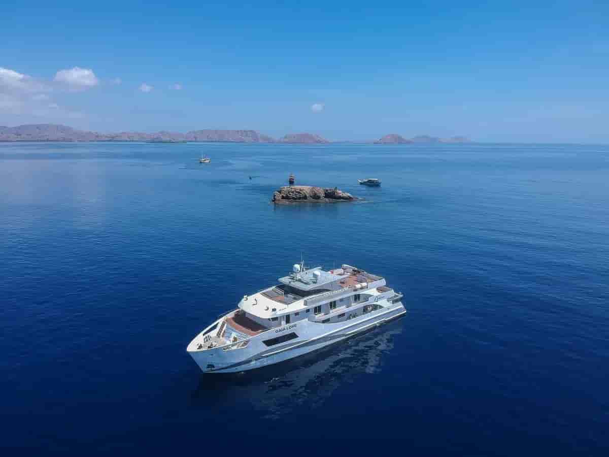 Thumbnail 9 Thumbnail 9