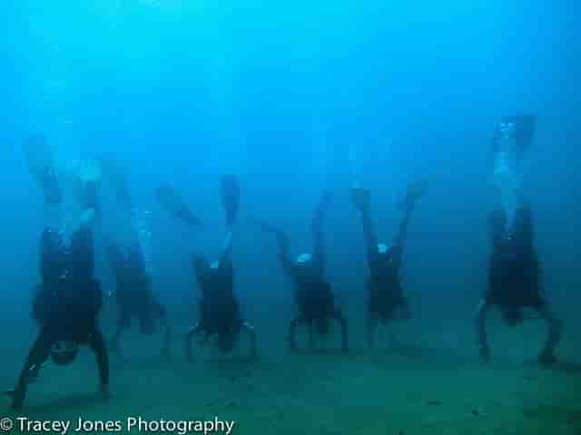 Thumbnail 4 Thumbnail 4