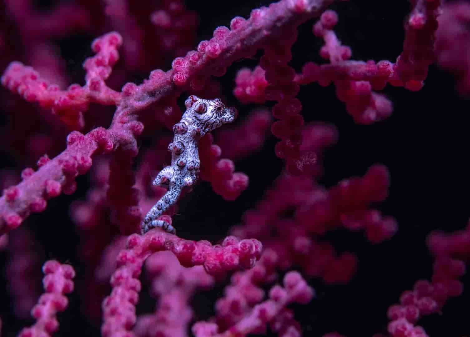 Thumbnail 12 Thumbnail 12