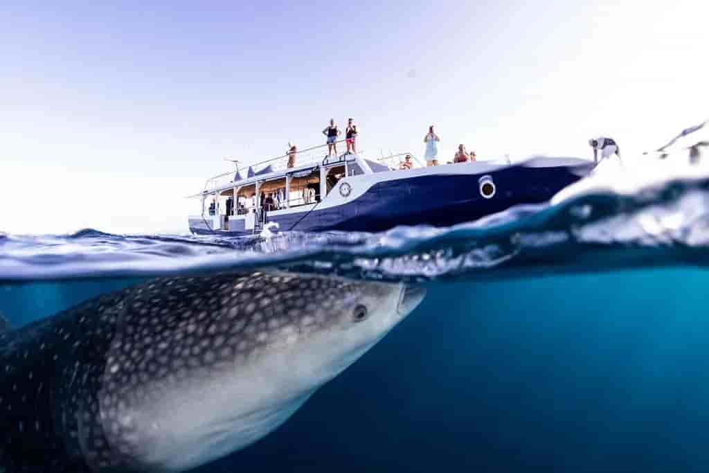 Thumbnail 16 Thumbnail 16