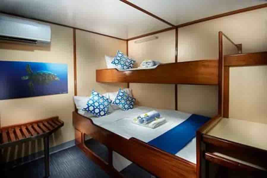 Thumbnail 4 Thumbnail 4