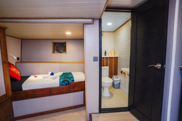 Solomons Master Solomons Master