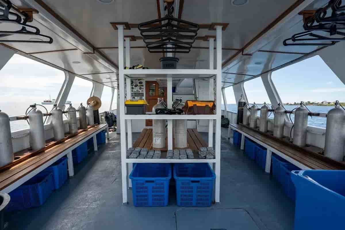 Thumbnail 4 Thumbnail 4