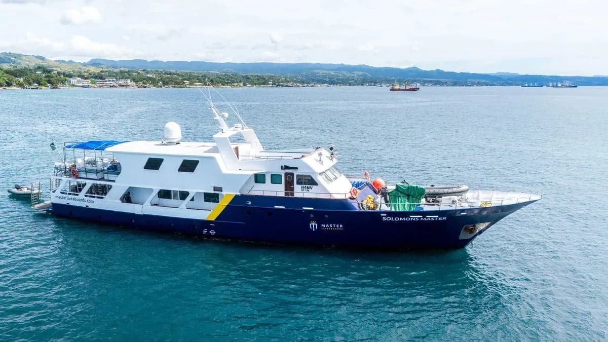 Solomons Master - image Solomons Master - image