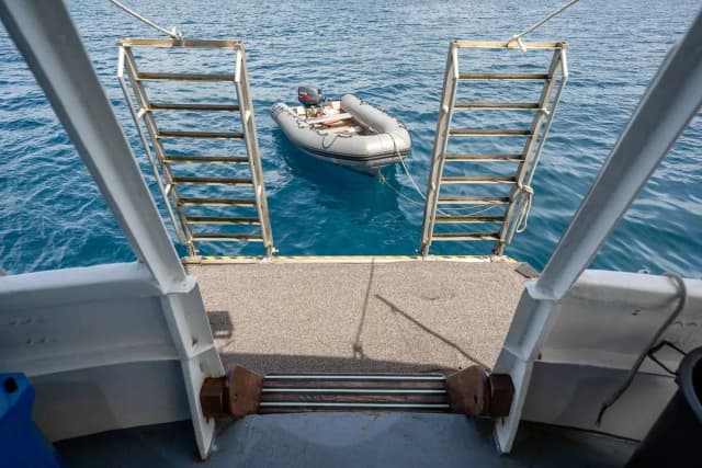 Solomons Master Solomons Master