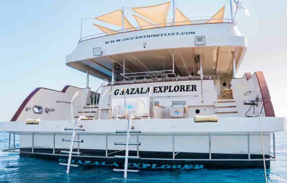 Thumbnail 2 Thumbnail 2