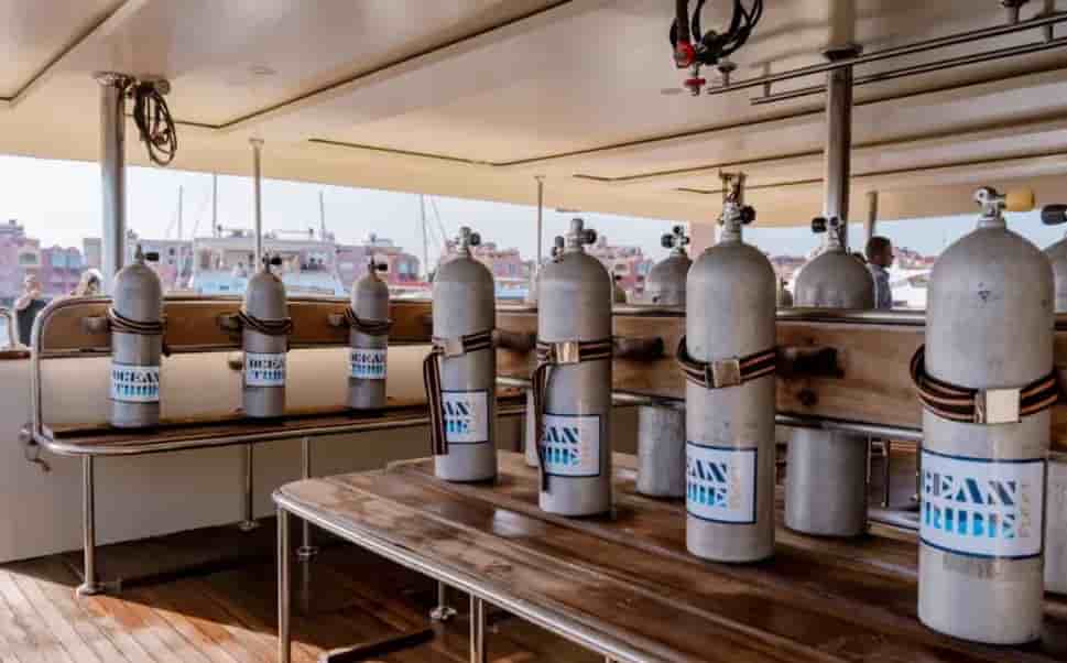 Thumbnail 10 Thumbnail 10