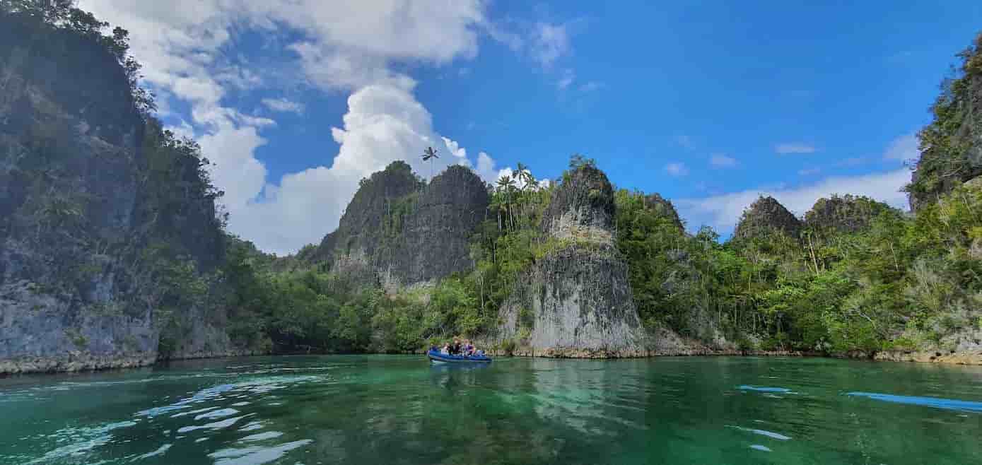 Thumbnail 5 Thumbnail 5