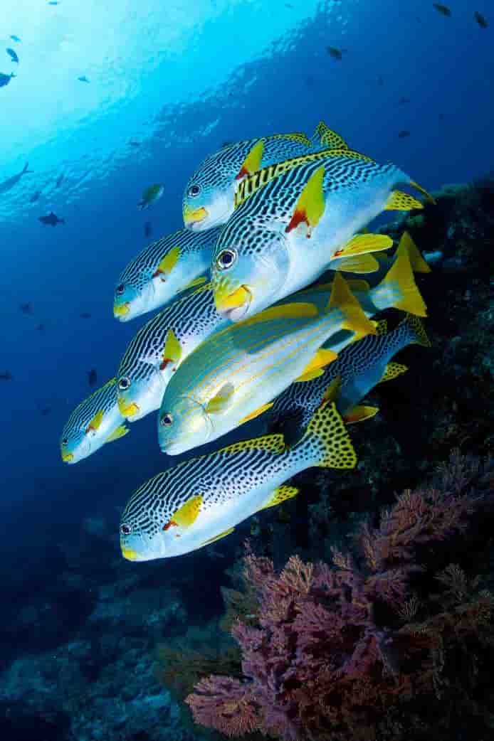 Thumbnail 26 Thumbnail 26