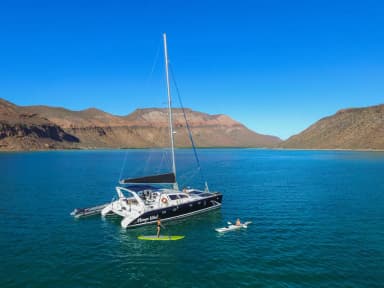 Nautilus Mango Wind Nautilus Mango Wind