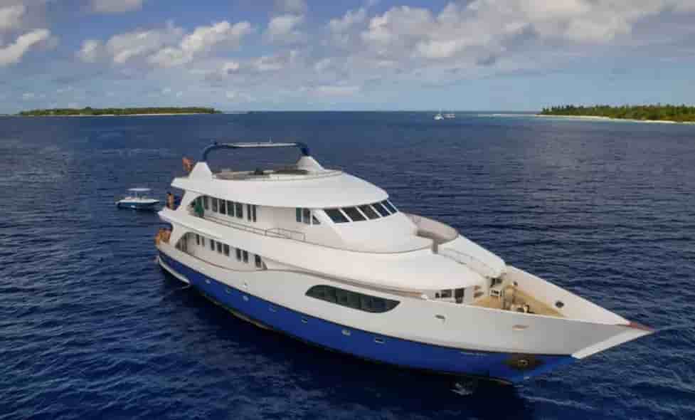 Thumbnail 1 Thumbnail 1