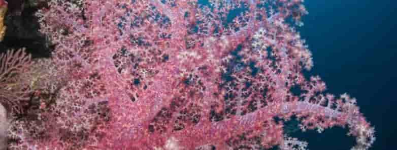 Thumbnail 3 Thumbnail 3