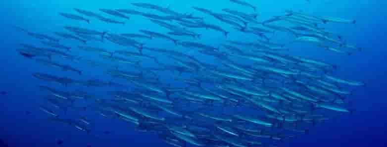 Thumbnail 5 Thumbnail 5