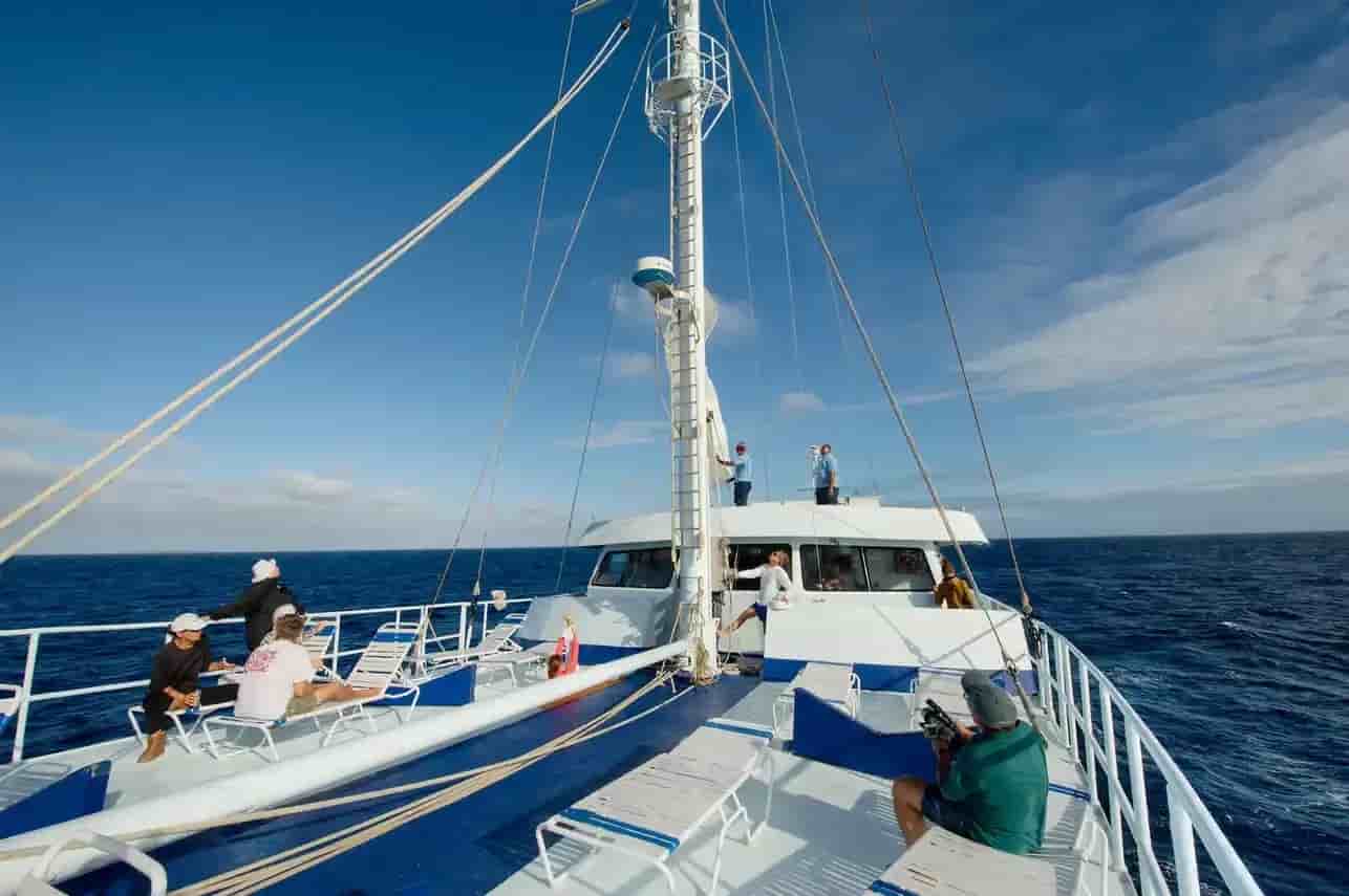 Thumbnail 2 Thumbnail 2