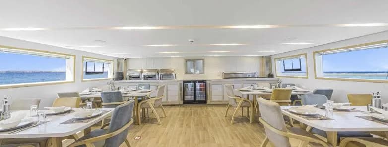 Sea Serpent Glorious Miss Nouran