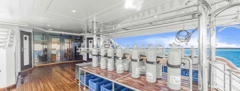 Sea Serpent Glorious Miss Nouran