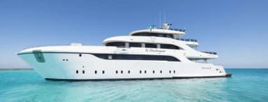 Sea Serpent Glorious Miss Nouran Sea Serpent Glorious Miss Nouran