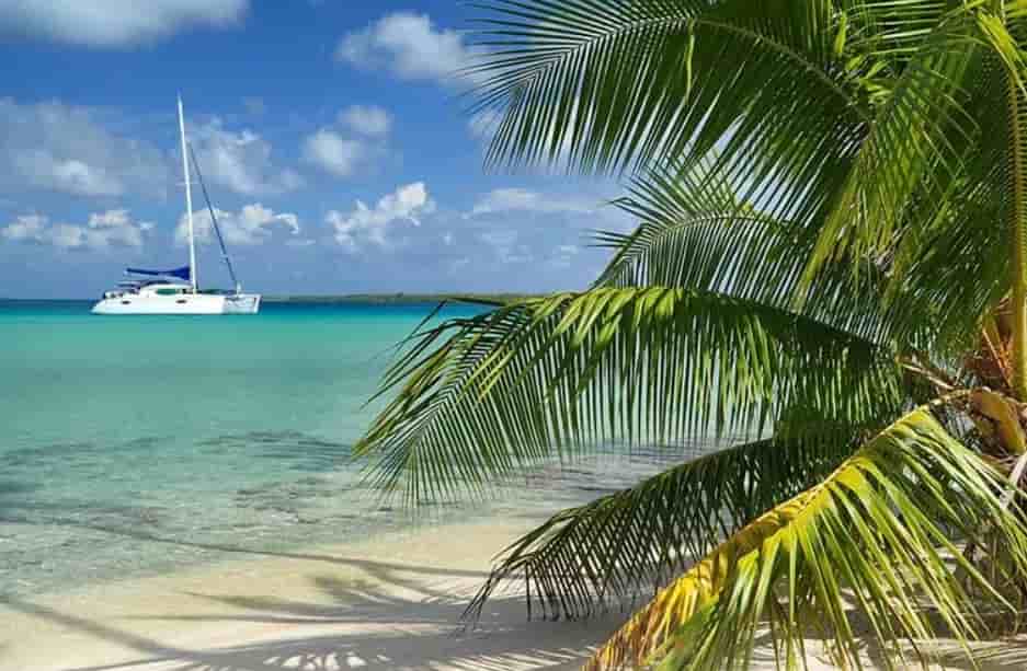 Thumbnail 2 Thumbnail 2