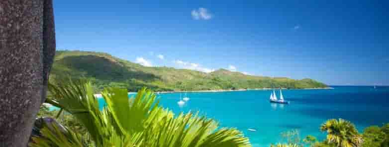 Thumbnail 7 Thumbnail 7