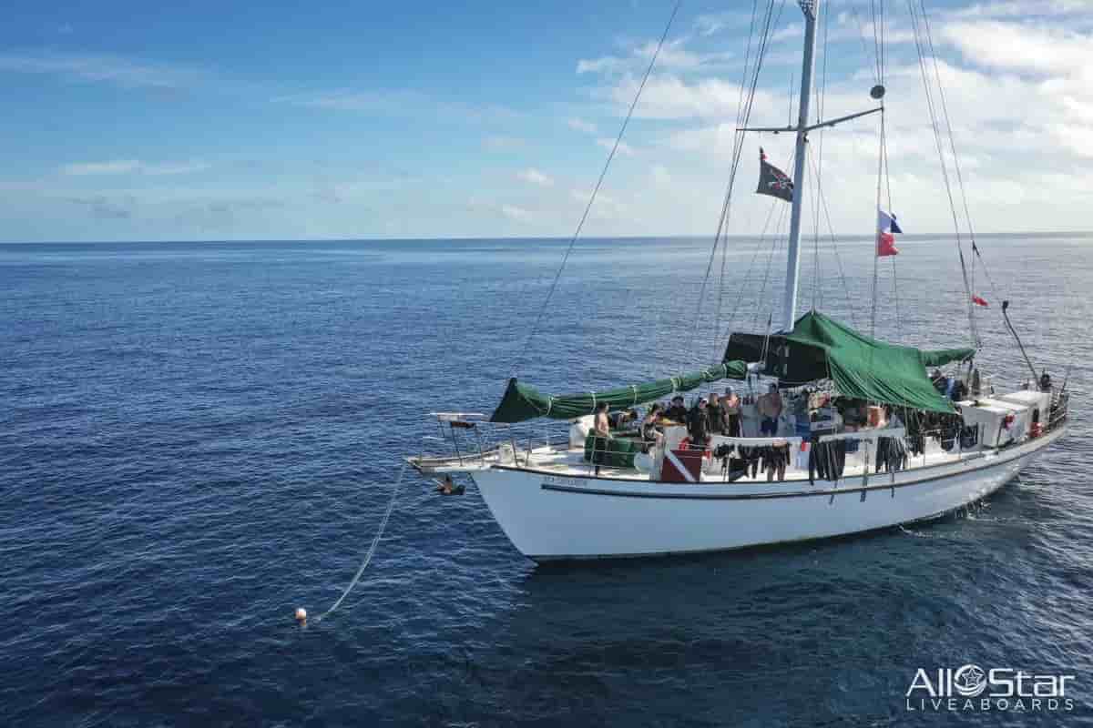 Thumbnail 1 Thumbnail 1