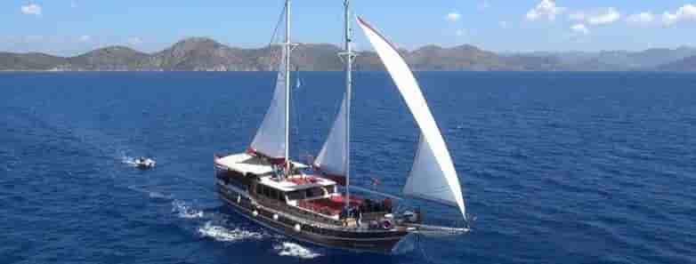 Thumbnail 2 Thumbnail 2